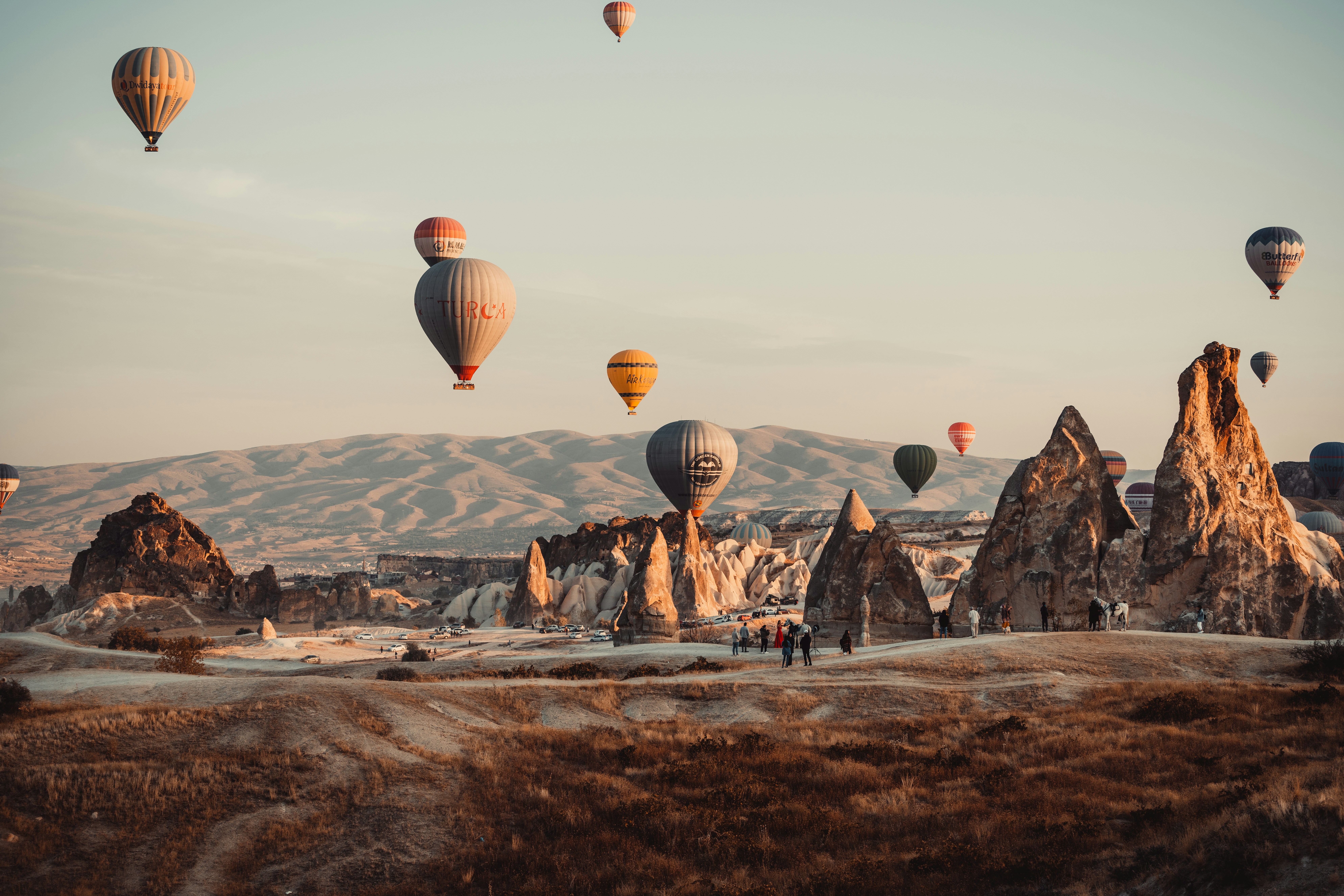 Photo by Timur Garifov on Unsplash