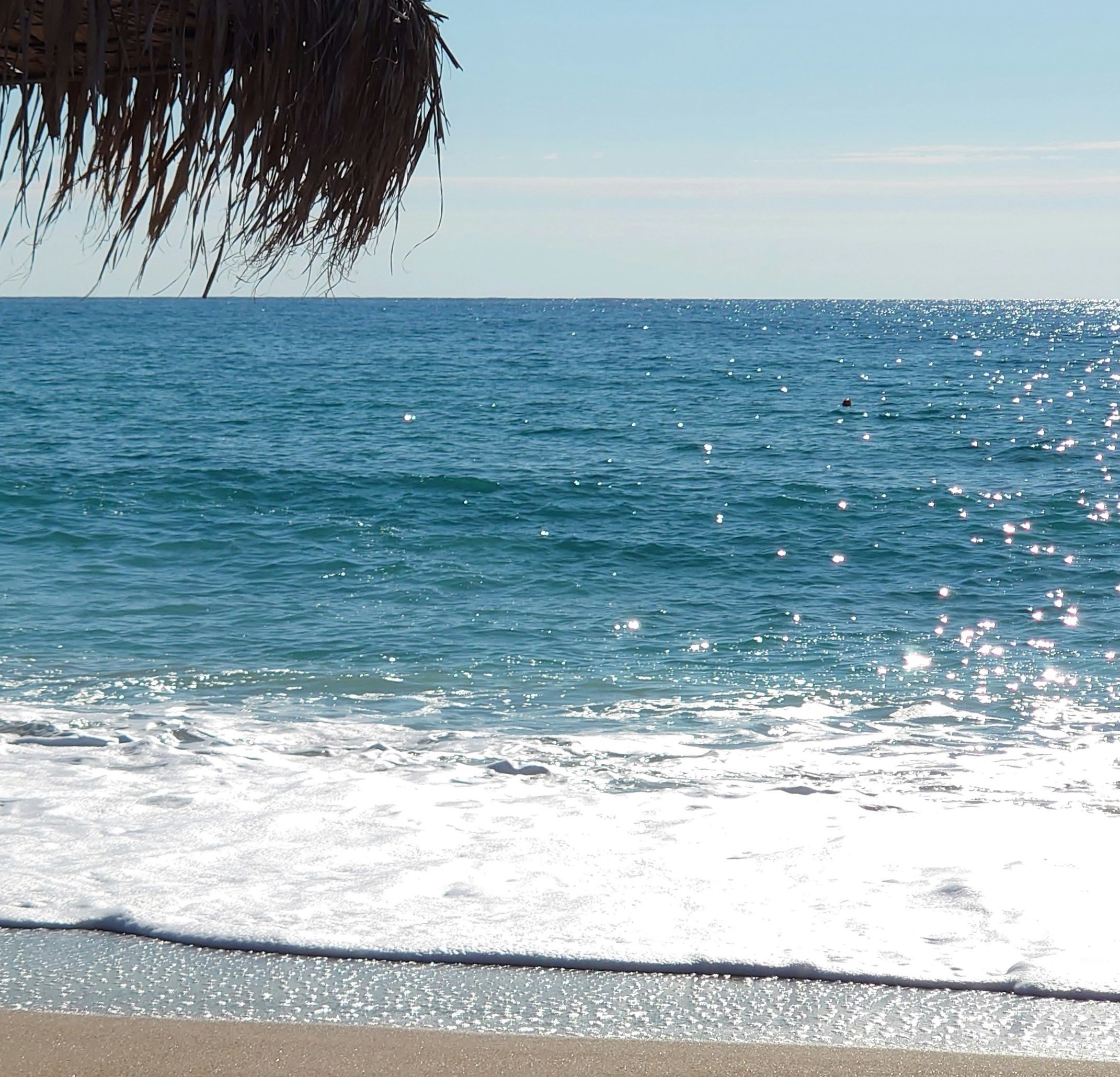 Photo by Tomoe Steineck on Unsplash