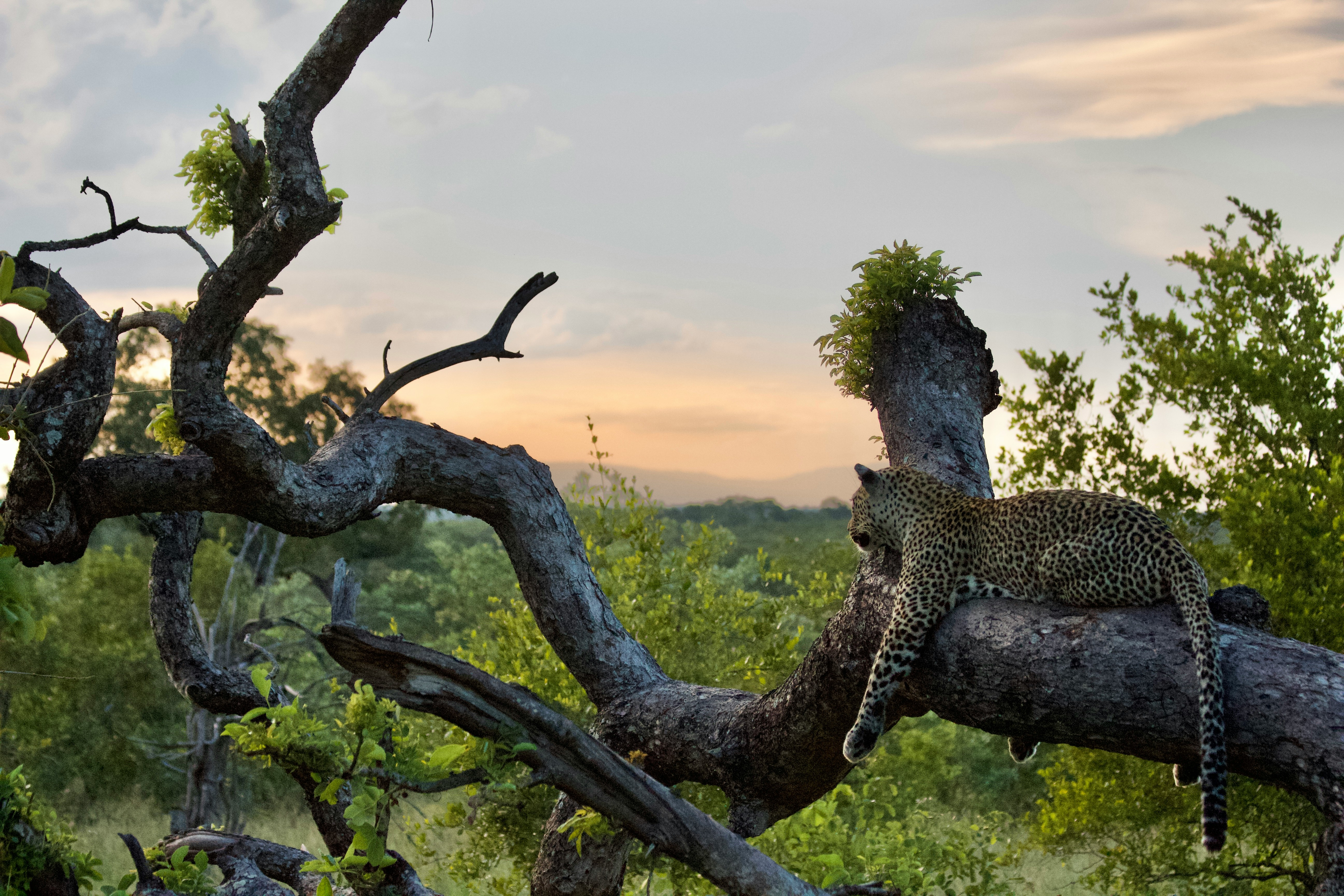 Photo by Zac Dooley on Unsplash