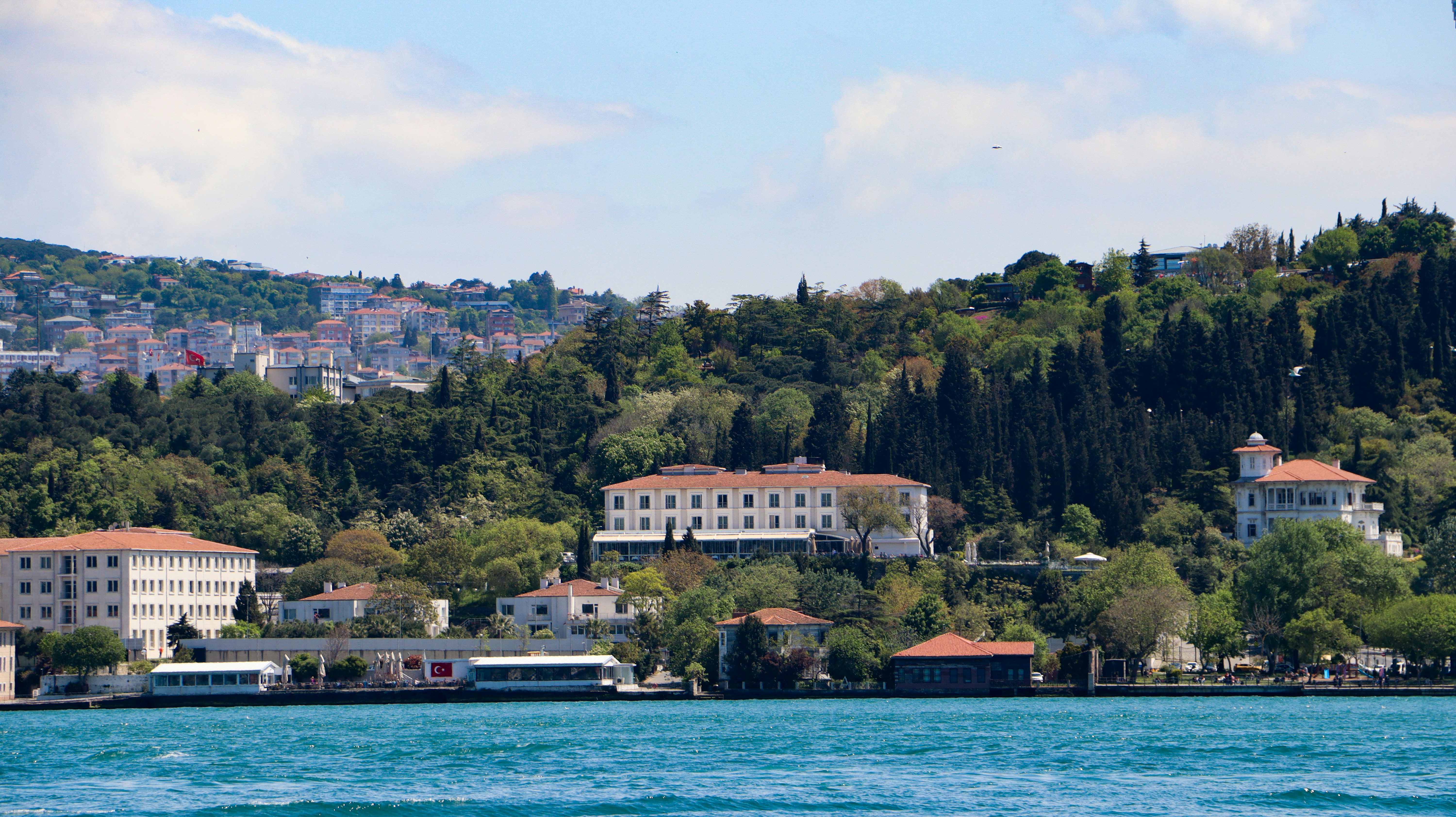 Photo by Asl? Yaren Peker on Unsplash