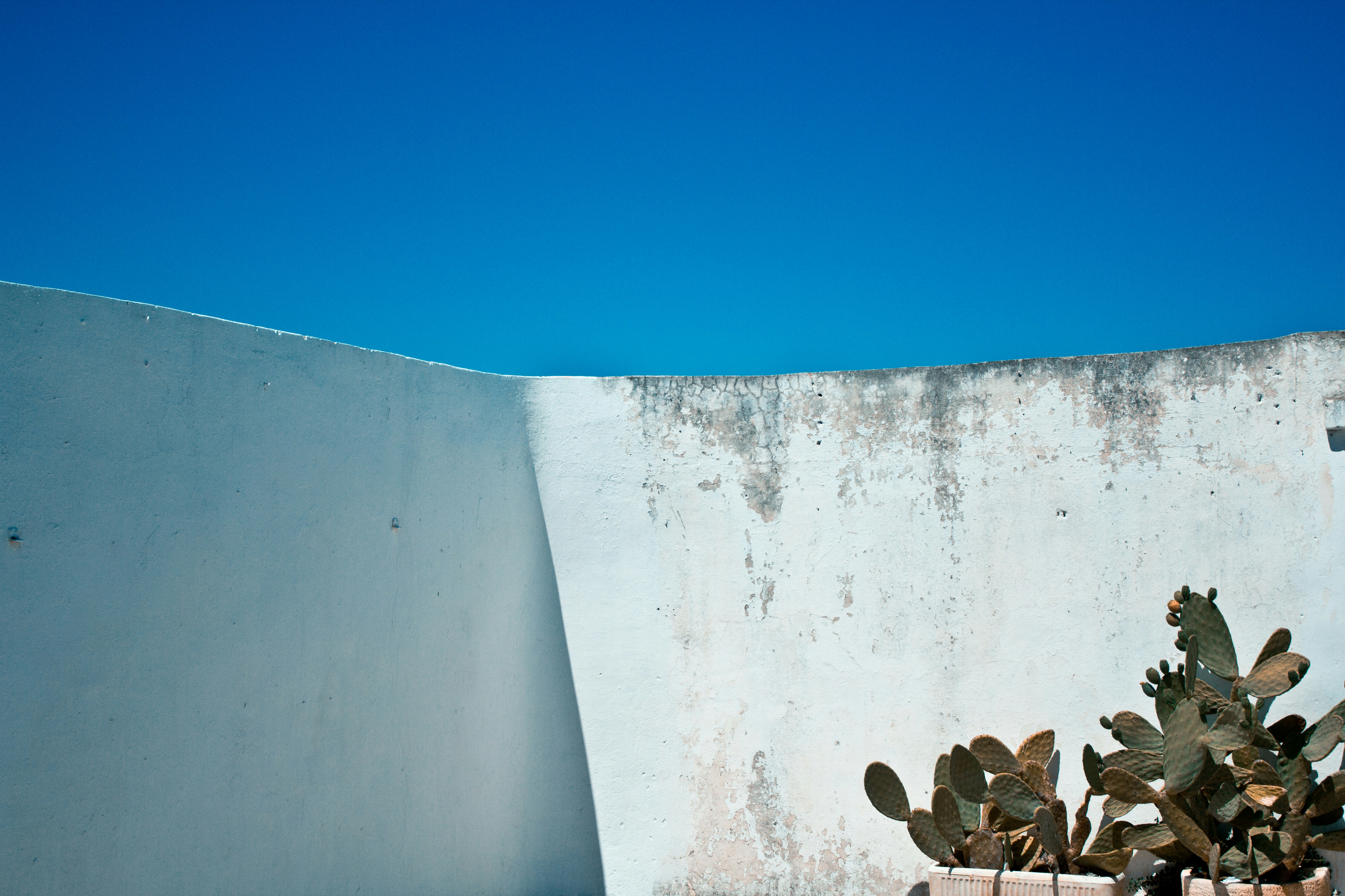 Photo by Giovanni Calia on Unsplash