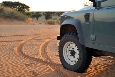 Safari 2