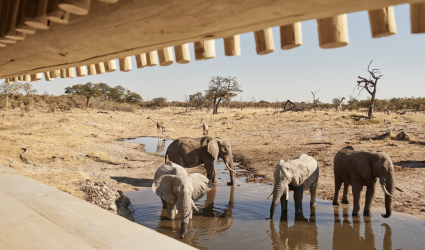 Belmond-Savute-Elephant-Lodge-01