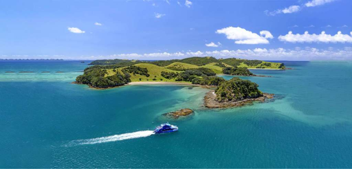 Koromiko: North Island Explorer