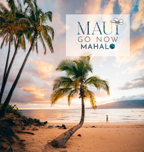 Maui Go Now POST