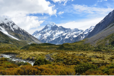 New Zealand Discovery