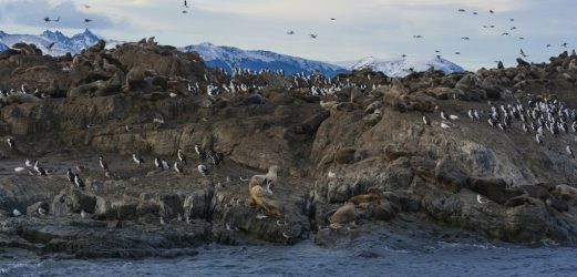 Patagonia Highlights - Argentina & Chile With Fjords Cruise