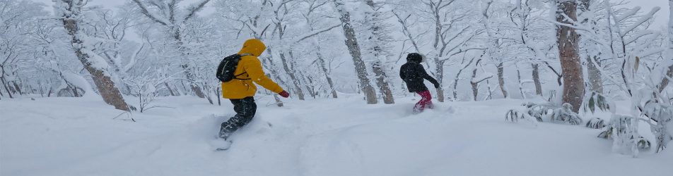 ski